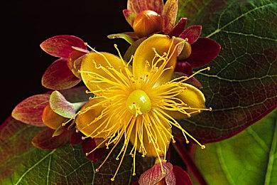 下一部《极品飞车》部分细节：将以9代做参考